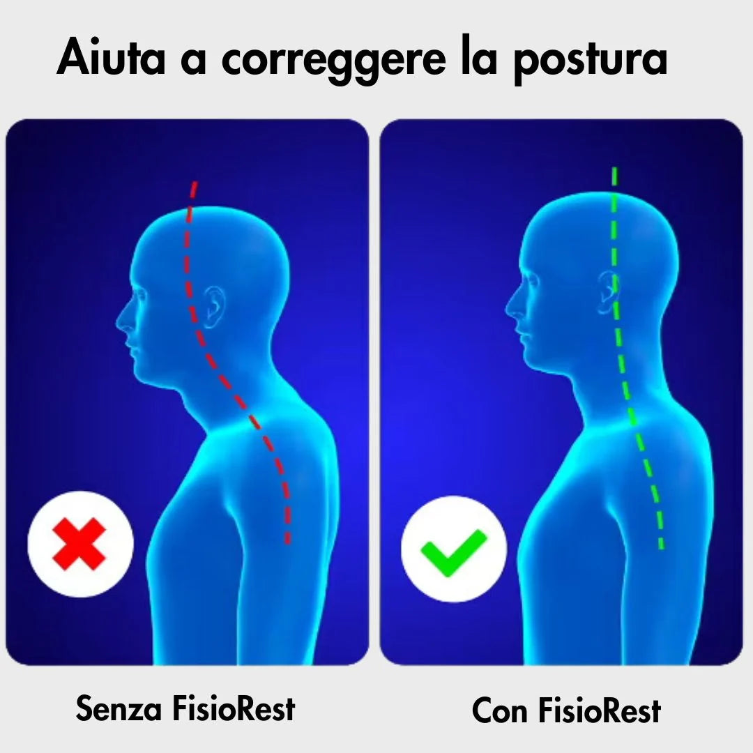 FisioRest